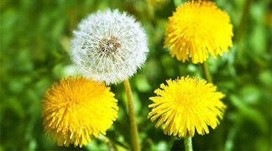 metode za uklanjanje papiloma pomoću narodnih lijekova